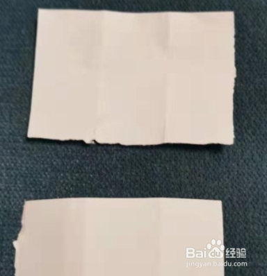 和孩子一起边玩边学鲨鱼宝宝