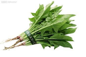 五種食物助你孩子長高