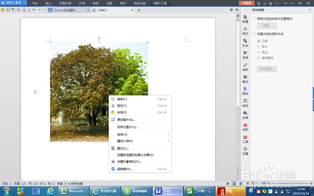 怎么让wps文档中的背景图片可以打印