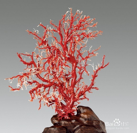 朋友乔迁新居送什么