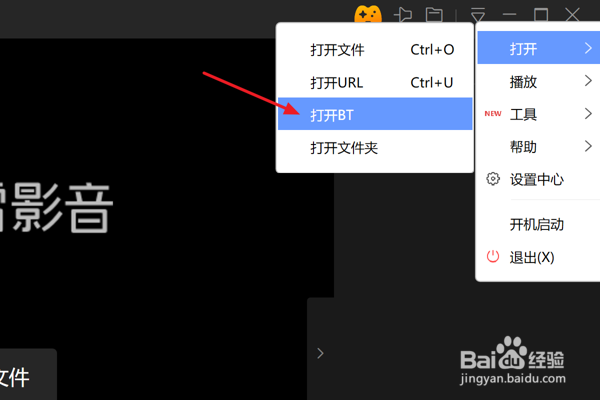 怎么在迅雷影音中快速打开BT