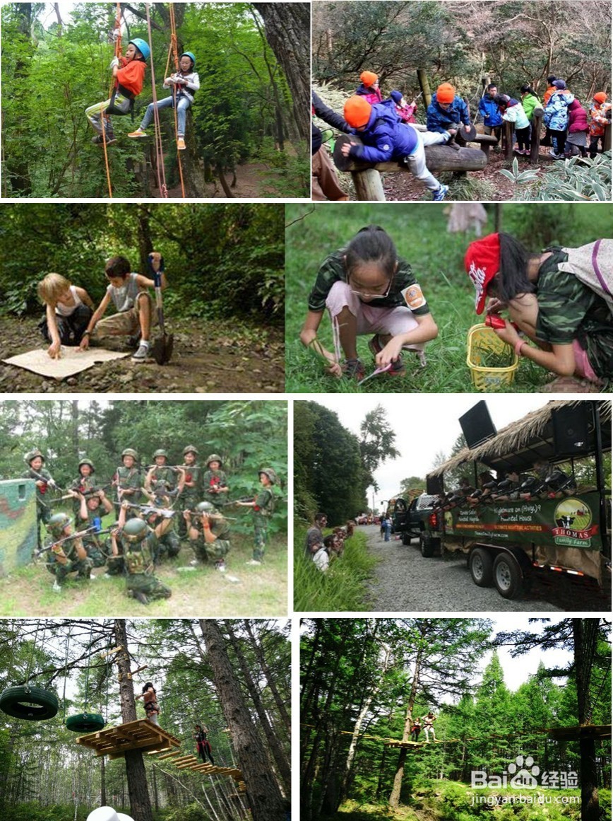 阿尔山奥伦布坎景区——原始森林探险求生