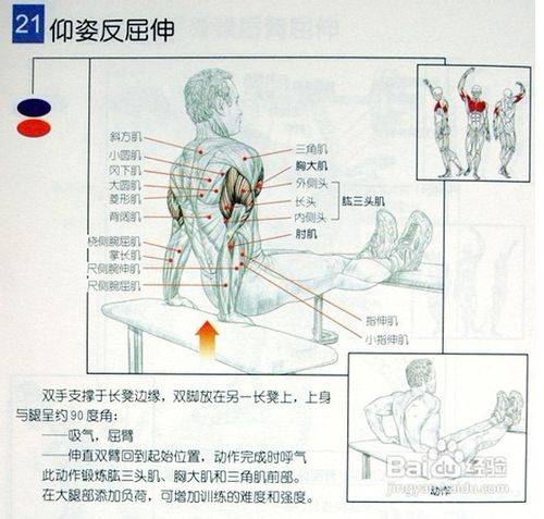 男士必须收藏:男士健身方案