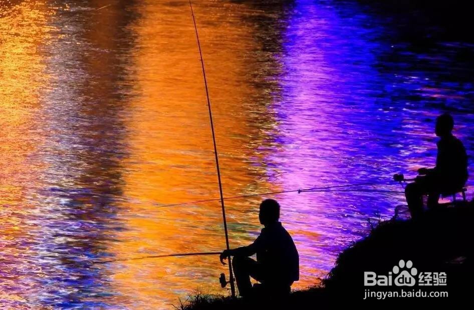 夏季夜钓草鱼的最佳方法
