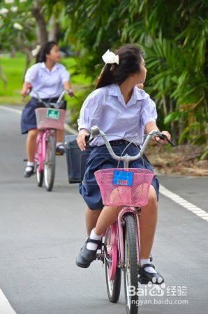 上下学方式怎么填写