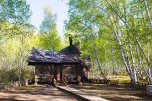 白桦林景区怎么游玩?