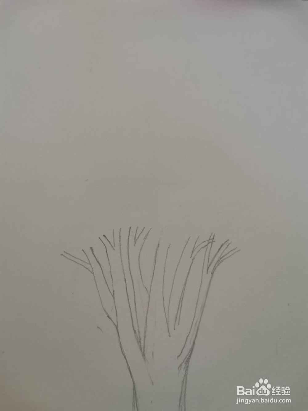 怎样画好一棵树