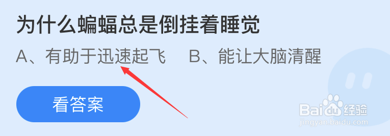 蚂蚁庄园为什么蝙蝠总是倒挂着睡觉