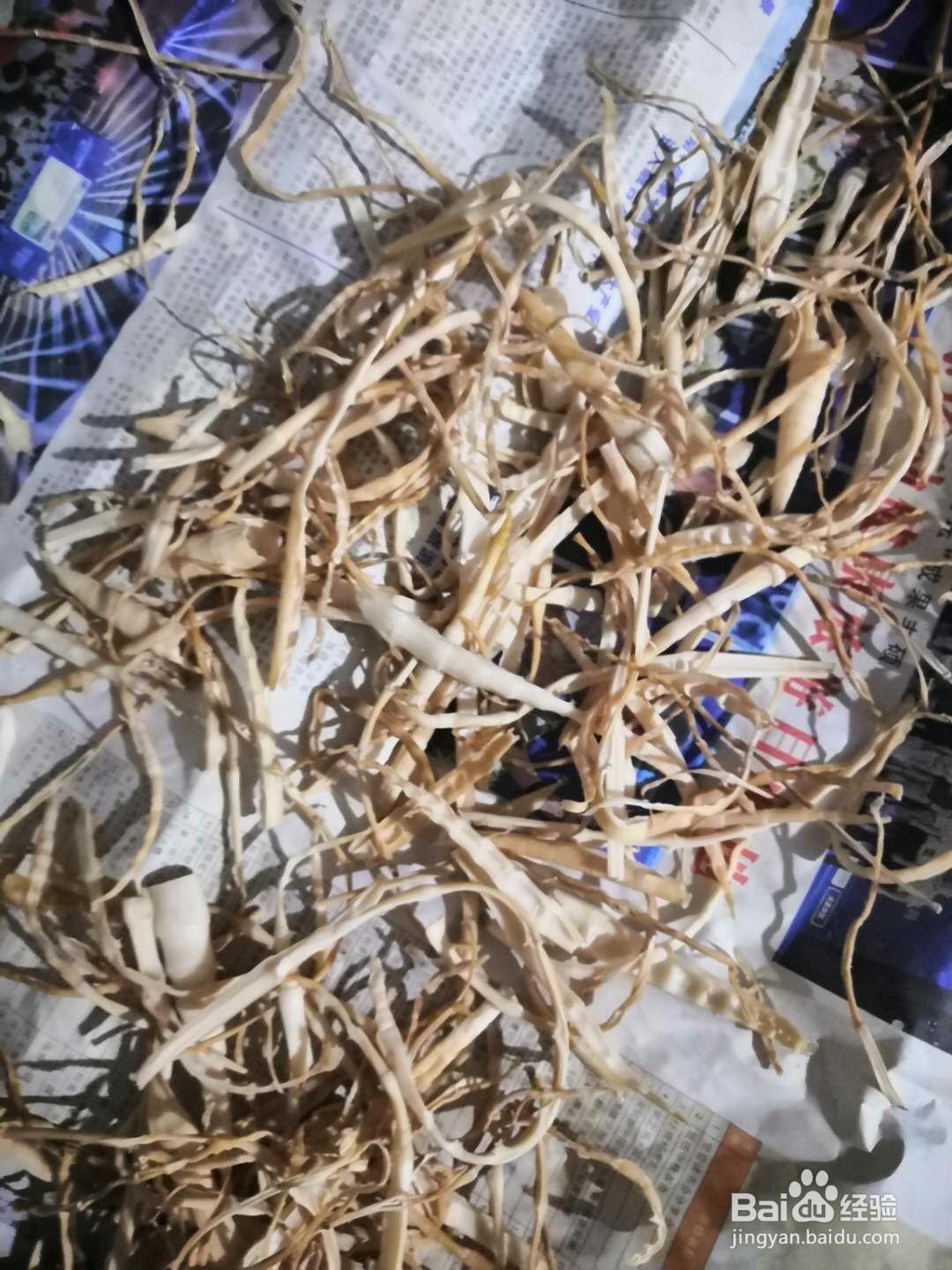 6种常见野菜的识别及处理方法