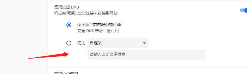 百分浏览器怎么使用自定义DNS