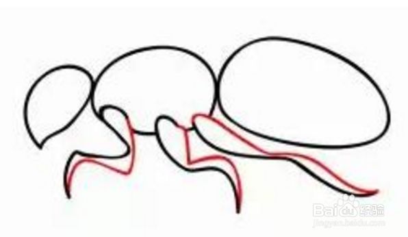大黄蜂简笔画步骤