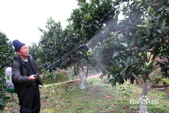 磷酸二氢钾的使用方法