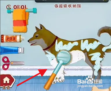 拯救小柴怎么过关