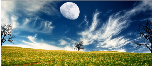 SEO网站要注意的细节问题？