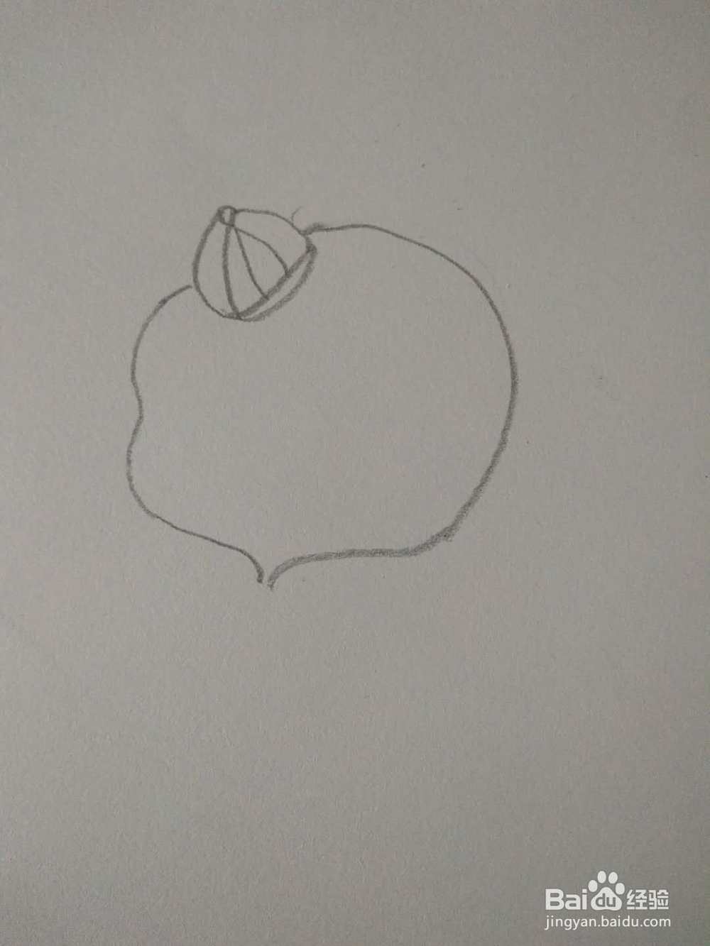 简笔画-如何画金猪拜年?