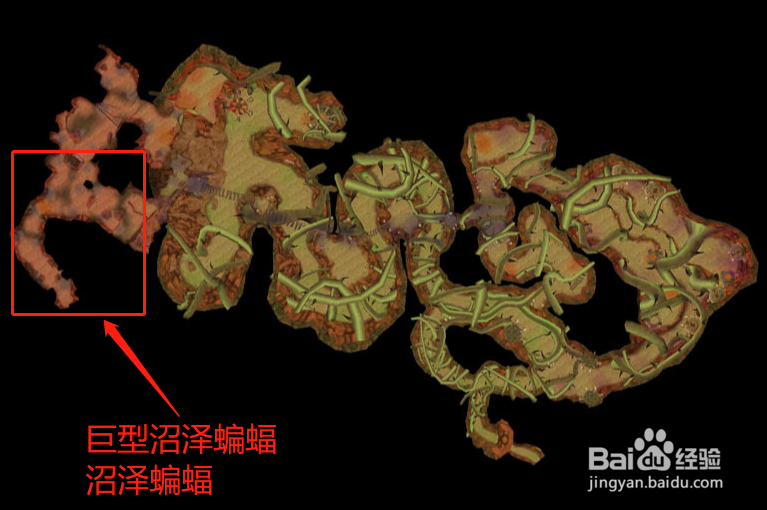 怀旧服任务蝙蝠的粪便沼泽蝙蝠的粪便在哪里刷