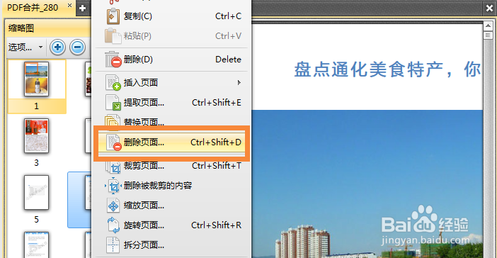 怎样简单地将pdf文件页面进行删除