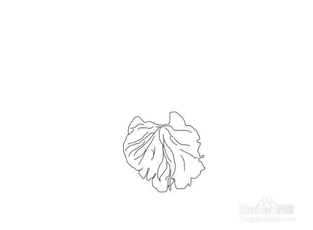 龙葵花的简笔画图片