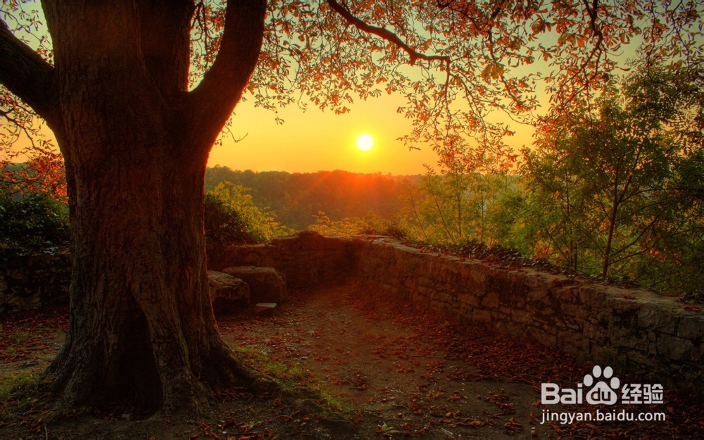 销售人员应该掌握哪些谈判技巧？