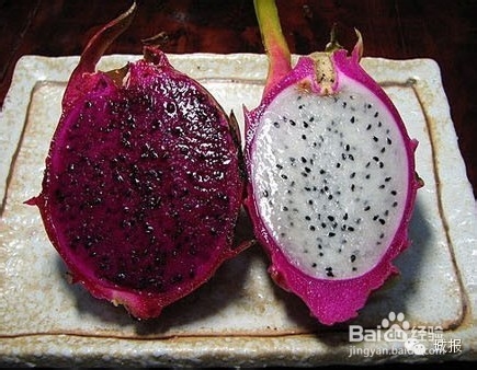 柚子、桂圆、火龙果，都可以变成有趣的盆栽