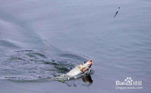 暴雨过后怎样钓鱼