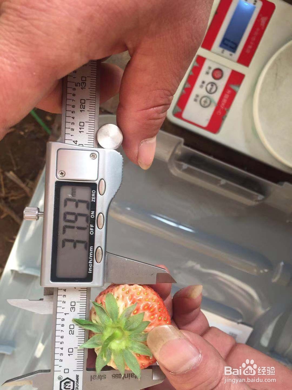 赤丹的试验使用经验和报告