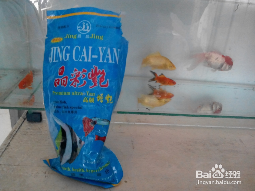 新手养鱼应该注意什么