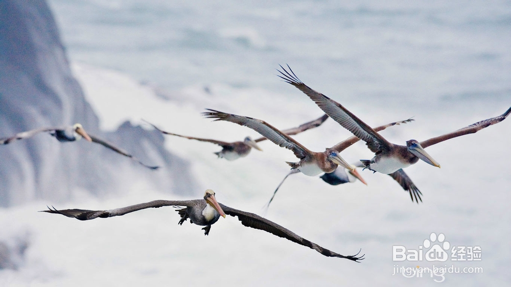 如何走出失恋阴霾