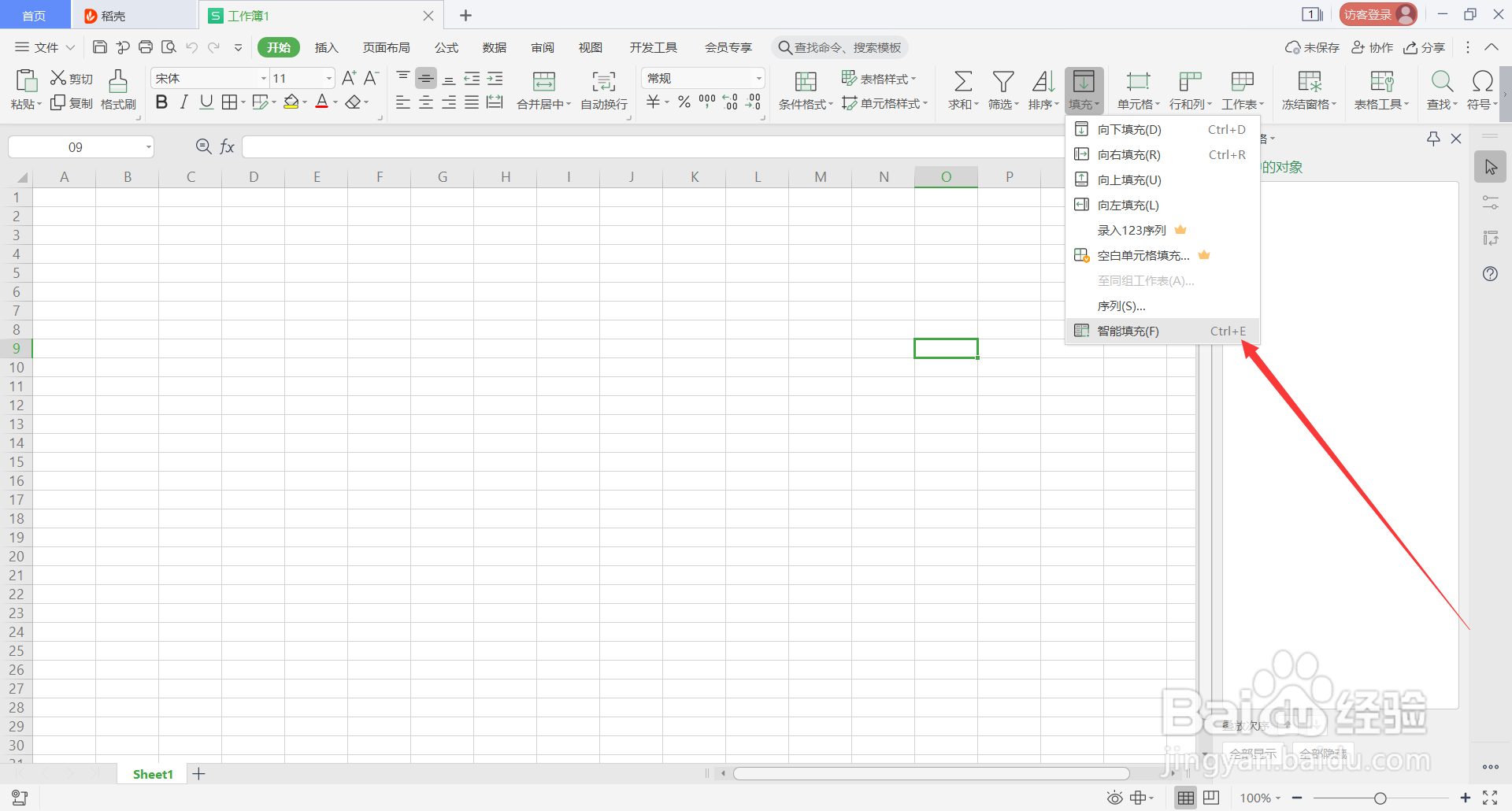 WPS Office表格中Alt的常用快捷键(12)
