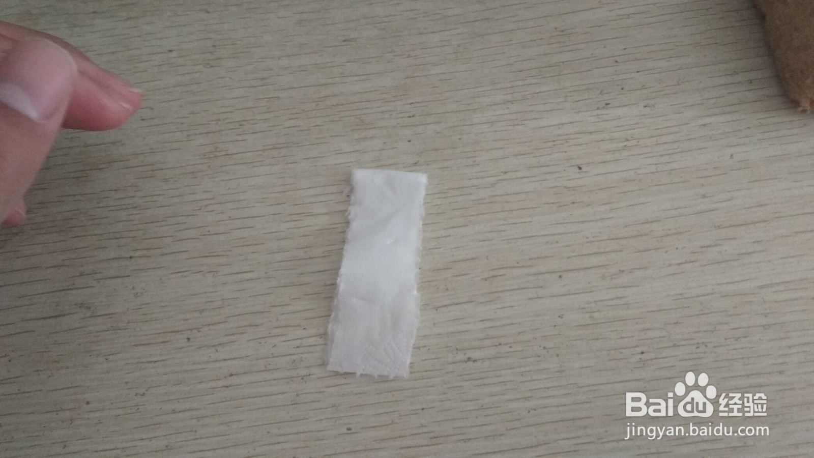如何用一条手纸做S形的简易的中性笔的支架