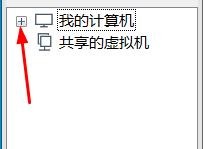 虚拟机如何移除LAN区段