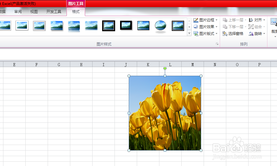 excel中图片调整的众多技巧