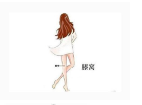 人体有5个部位经常按一按,帮你轻松排出湿气