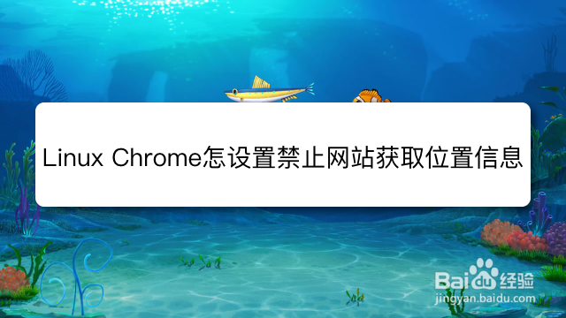 <b>Linux Chrome怎么设置禁止网站获取位置信息</b>