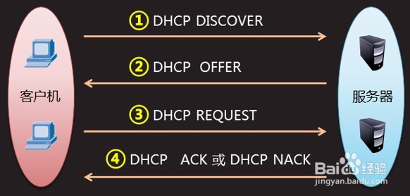 DHCP的搭建与维护