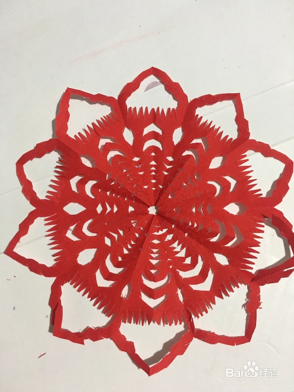 一朵十角花 怎样用红色彩纸裁剪