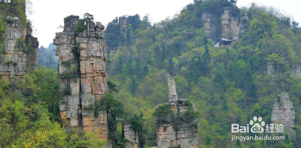 青岛到张家界旅游攻略