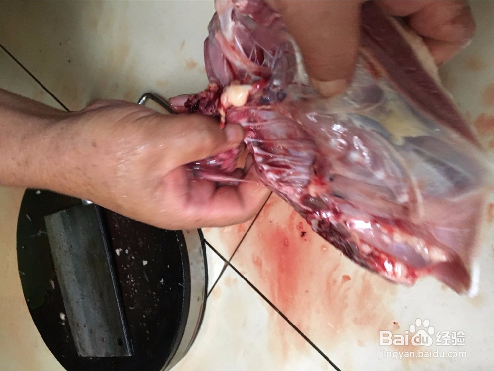 做血鸭,鸭怎么杀?