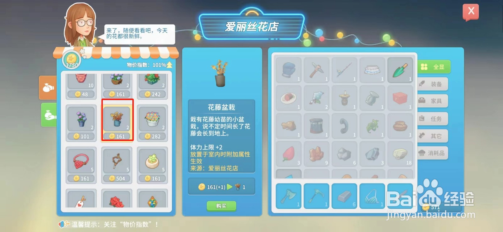 波西米亚时光怎么购买花藤盆栽