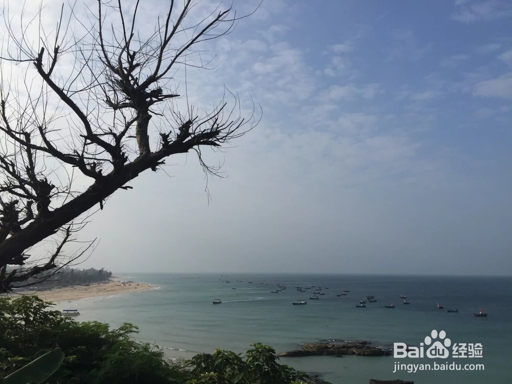 广西北海涠洲岛旅游攻略