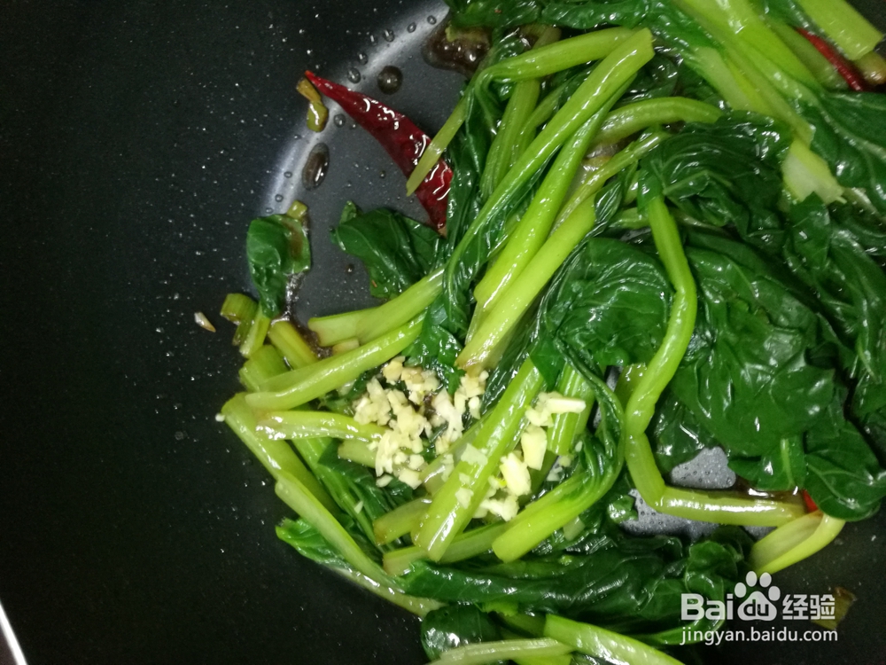 一次就会的海米炒油菜