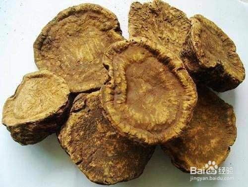 生大黄的功效与作用