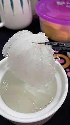 冰糖雪梨炖燕窝