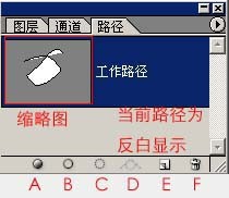 使用Photoshop绘制图形时运用钢笔工具的技巧