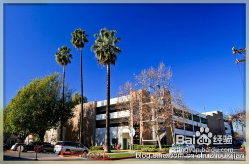 第一次在美国产检——医生仔细看宝宝性别