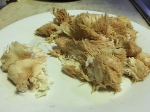 教你怎么做猴头菇炖乌鸡