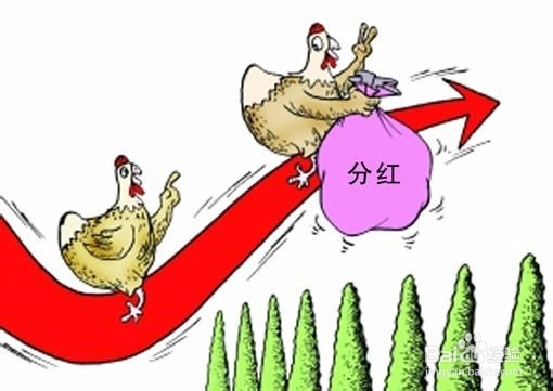 基金投资小技巧：[3]分红设定和赎回转换操作