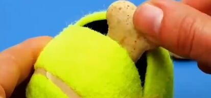 如何学会这些关于宠物的小妙招