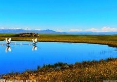 怎样做营销：[3]战略的选择