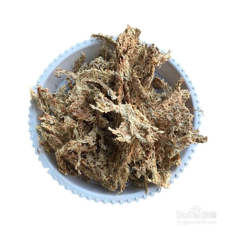 食蝇草怎么养护